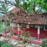 Pohon Tumbang Timpa SDN Sukasari Campaka, Enam Siswa Terluka