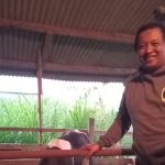 Cerita Ahmad, Merawat Ternak Tetangga Sembari Menunggu Kepastian PPPK