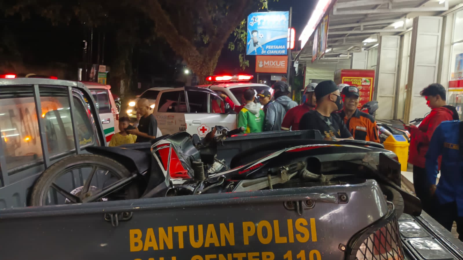 Pohon Tumbang Timpa Pemudik Asal Purwakarta, Dua Orang Luka-Luka