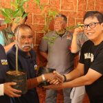 Lestarikan Lingkungan Puncak, Partai NasDem Tanam 2.000 Pohon di Ciloto