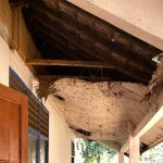 Ruang Kelas SDN Karyasakti Cibeber Rusak, Siswa Belajar Bergilir