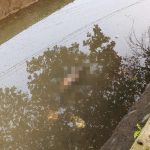 Bayi Laki-Laki Tewas dengan Luka Kekerasan Ditemukan Mengambang di Sungai Ciranjang