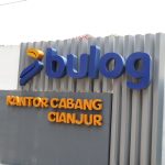 Program Nasional, Bulog Cianjur Genjot Serapan Jagung Petani Targetkan 6 Ribu Ton