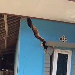 Hujan Lebat Picu Pergeseran Tanah di Takokak, Puluhan Rumah Rusak