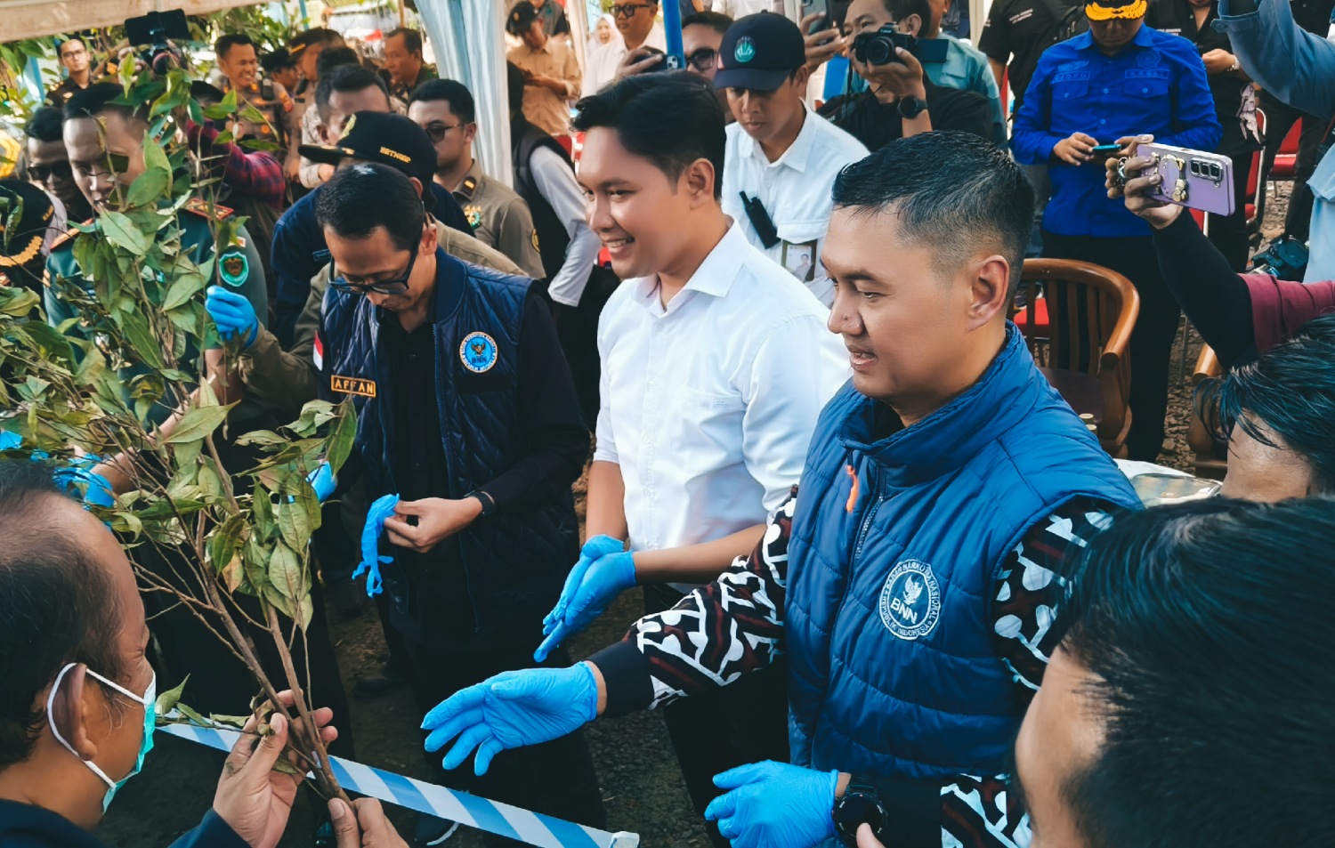 BNNK Cianjur Musnahkan Puluhan Batang Khat, Tanaman Narkotika Golongan I