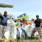 BULOG Cianjur Targetkan Serap 33.772 Ton Gabah dan Beras Sepanjang 2026