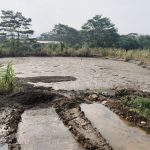 Bau dan Pencemaran Limbah Kotoran Hewan Menahun di Mande, Kades Tegas Tak Berikan Izin