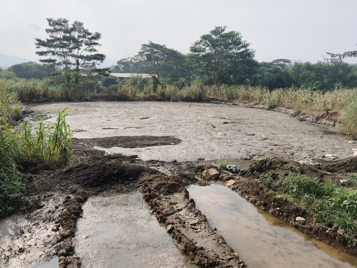 Bau dan Pencemaran Limbah Kotoran Hewan Menahun di Mande, Kades Tegas Tak Berikan Izin