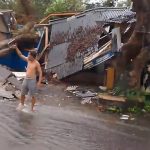 Hujan Disertai Angin Kencang, Pohon Tumbang di Karangtengah Timpa Dua Kios dan Putuskan Listrik