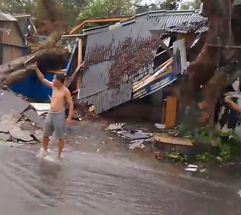 Hujan Disertai Angin Kencang, Pohon Tumbang di Karangtengah Timpa Dua Kios dan Putuskan Listrik