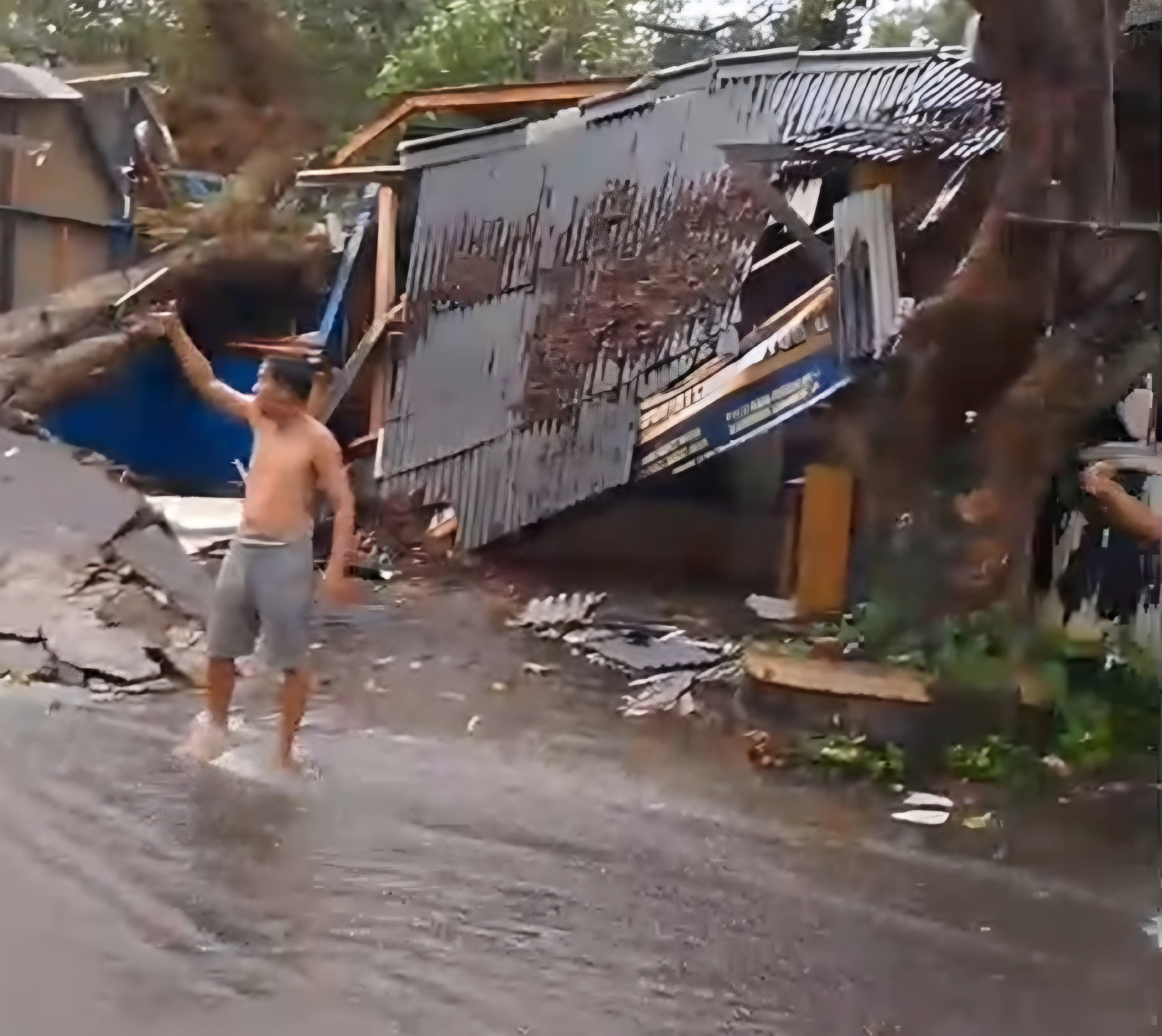 Hujan Disertai Angin Kencang, Pohon Tumbang di Karangtengah Timpa Dua Kios dan Putuskan Listrik