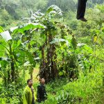 Remaja 17 Tahun Tewas Gantung Diri di Tanggeung, Polisi Ungkap Dugaan Depresi