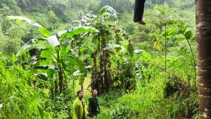 Remaja 17 Tahun Tewas Gantung Diri di Tanggeung, Polisi Ungkap Dugaan Depresi