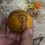 Menu Rendang Sapi Rp10 Ribu Disebut Alot dan Dikemas Kertas Nasi untuk Balita di Maleber, SPPG Maleber Beri Penjelasan