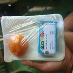 Dinkes Cianjur Siagakan Satgas MBG di Leles, Sampel Makanan MBG Segera Diuji di Laboratorium