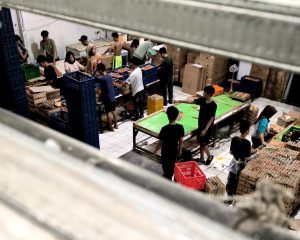 Gudang Telur Diduga Ilegal Cemari Lingkungan, Warga Cianjur Resah Disergap Bau Menyengat