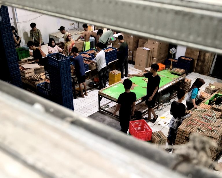 Gudang Telur Diduga Ilegal Cemari Lingkungan, Warga Cianjur Resah Disergap Bau Menyengat