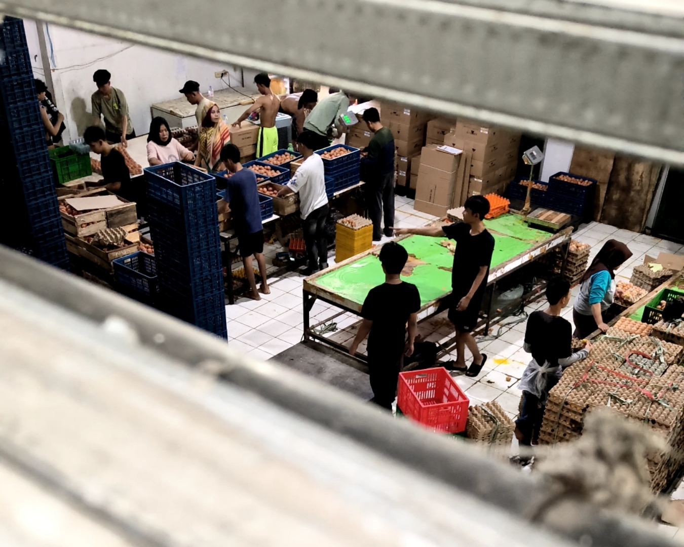 Gudang Telur Diduga Ilegal Cemari Lingkungan, Warga Cianjur Resah Disergap Bau Menyengat