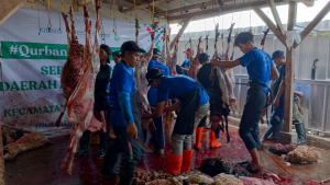 507 Kambing Kurban KitaBisa Jangkau 7.500 Warga Cugenang, Peternak Lokal Cianjur Ikut Terbantu
