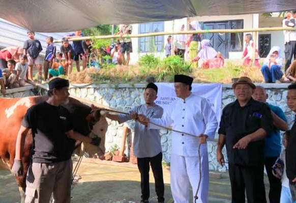 Bantuan Sapi Kurban Presiden RI Perkuat Kepedulian Sosial dan Ekonomi Peternak Lokal di Kota Tasikmalaya