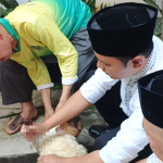 Pemkab Cianjur Sebar Hewan Kurban ke Sejumlah Wilayah, Penyembelihan Dipusatkan di Masjid Agung