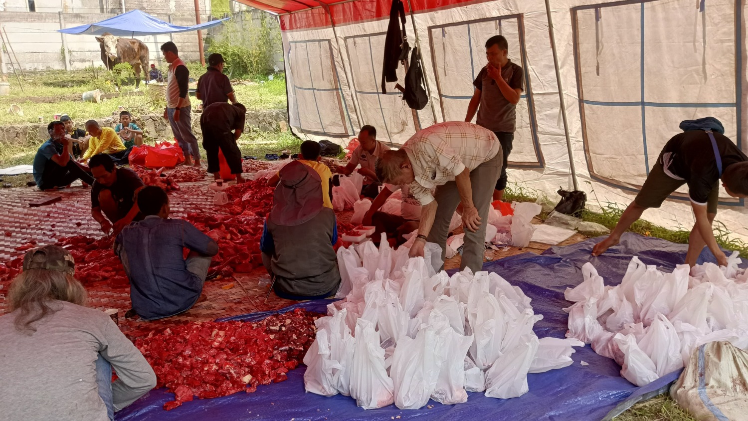 Golkar Cianjur Salurkan 1.000 Paket Daging Kurban untuk Warga dan Pengurus Partai