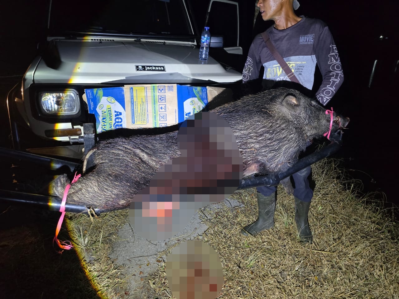 Kolaborasi Perbakin dan Bagong Mogok Akhiri Teror Babi Hutan di Bunijaya, Korban di Beri Santunan