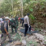 Kerangka Manusia Ditemukan di Hutan Perhutani Sindangbarang, Polisi Selidiki Identitas Korban