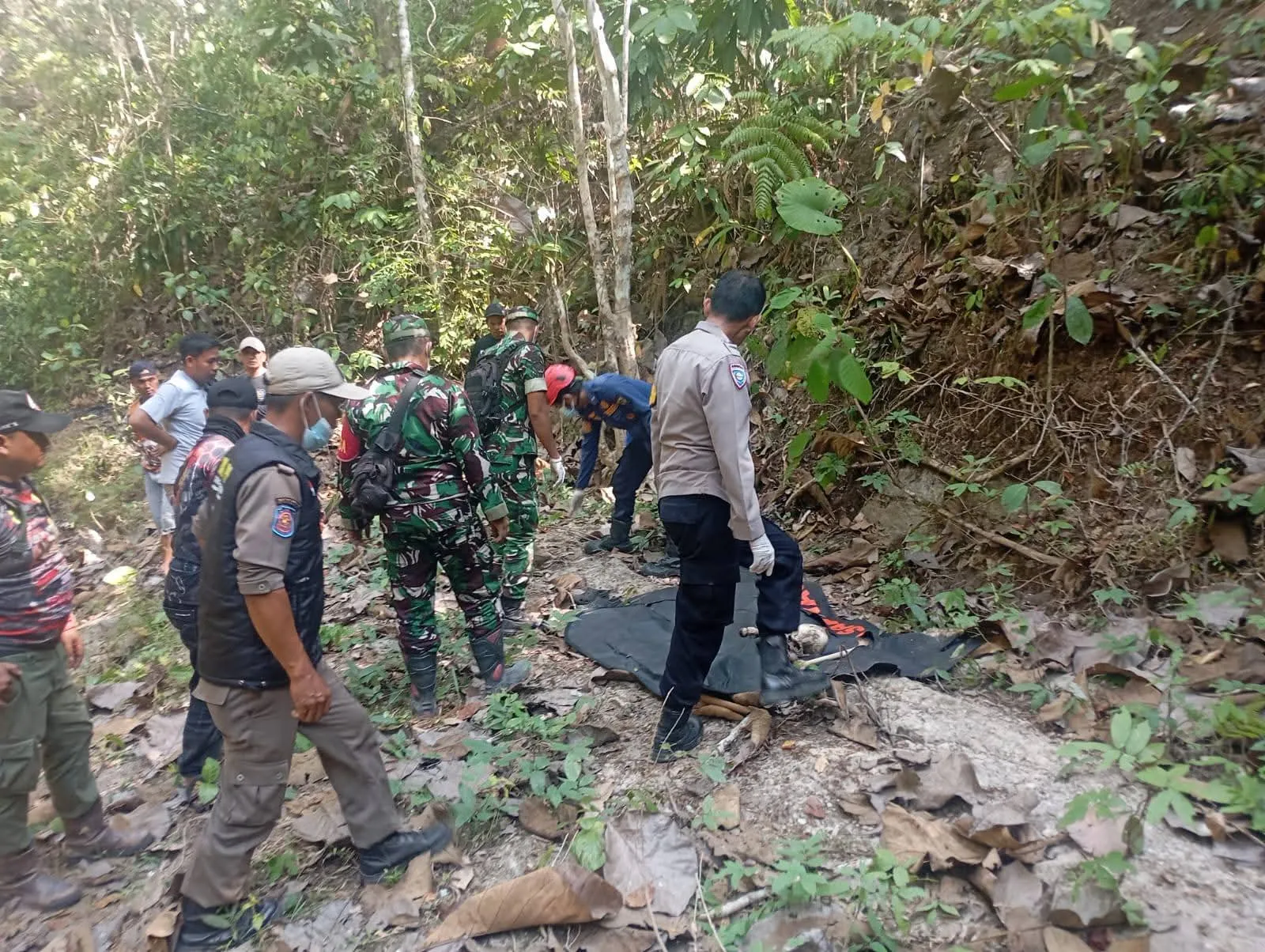 Kerangka Manusia Ditemukan di Hutan Perhutani Sindangbarang, Polisi Selidiki Identitas Korban