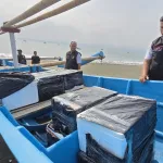 Puluhan Ribu Benur Ilegal Gagal Diselundupkan, Polres Sukabumi Lepasliarkan ke Laut