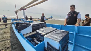 Puluhan Ribu Benur Ilegal Gagal Diselundupkan, Polres Sukabumi Lepasliarkan ke Laut
