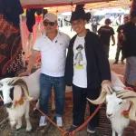 Semarak Kemerdekaan, Ratusan Peserta Se-Jabar Adu Ketangkasan Domba Garut di Cianjur