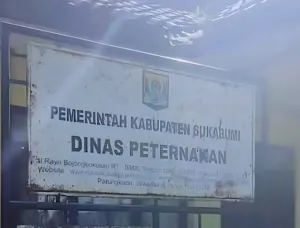 BPK Temukan 91 Sapi Senilai Rp994 Juta Masih Tercatat, Disnak Sukabumi Koordinasikan ke Inspektorat