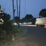 Bagai Sulap! Kabel Menjuntai Usai Penebangan, DLH Cianjur: Saat Ditebang Tak Ada Kabel
