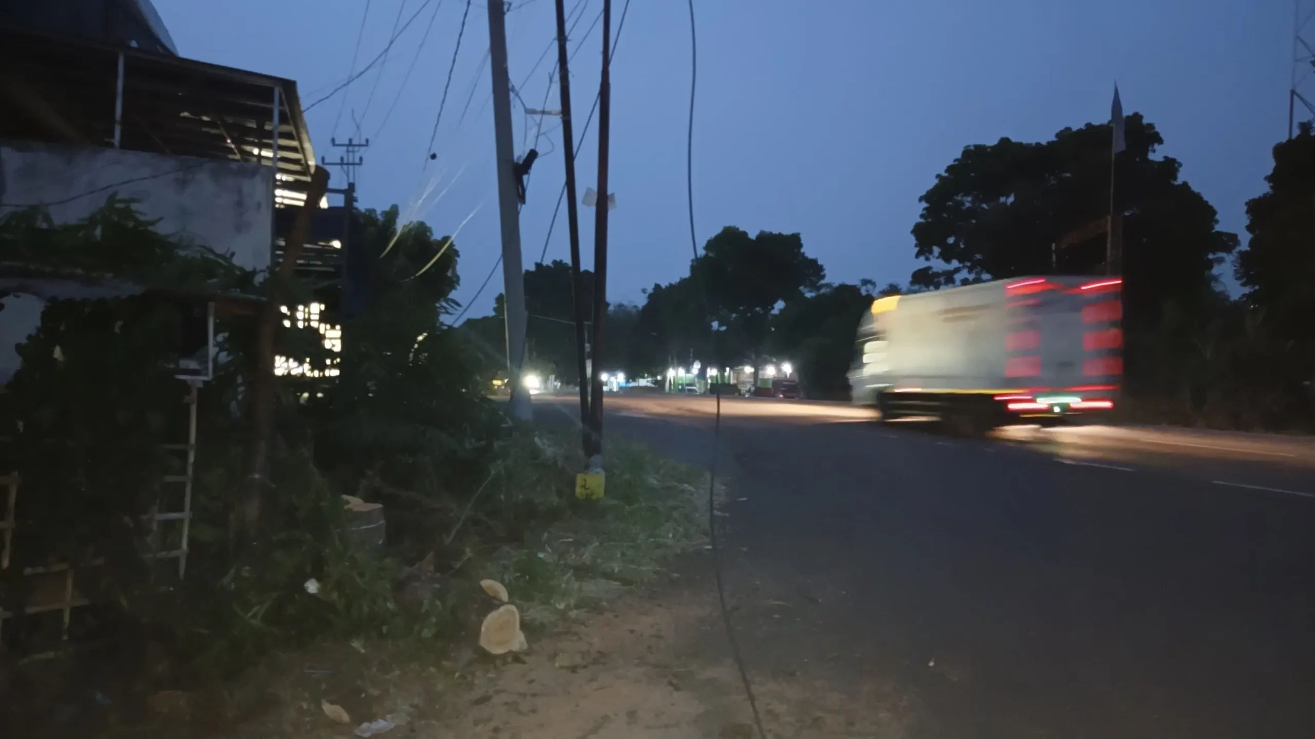 Bagai Sulap! Kabel Menjuntai Usai Penebangan, DLH Cianjur: Saat Ditebang Tak Ada Kabel
