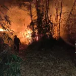 Bekas Galian C di Ciharashas Terbakar, 15 Hektare Lahan Dilalap Api