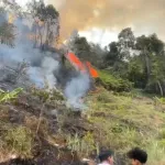 Karhutla Pagelaran Cianjur Berhasil Dikendalikan, Camat: Kini Tahap Pendinginan