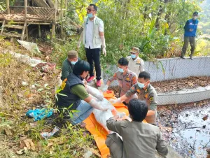 Cari Kayu Bakar, Warga Tanggeung Temukan Mayat Perempuan di Pinggir Kolam