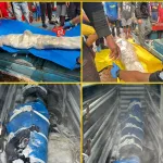 (foto: Rekan Media) Kedua korban dilaporkan meninggal dunia dalam insiden di atas KM Cahaya Mutiara saat berlayar di perairan Sri Lanka.