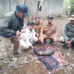 Bupati Cianjur Siapkan Pemetaan Habitat dan Edukasi Satwa Dilindungi