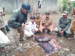 Bupati Cianjur Siapkan Pemetaan Habitat dan Edukasi Satwa Dilindungi