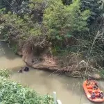 Diduga Mencuri HP, Pria Terjun ke Sungai Cicatih dan Ditemukan Meninggal Dunia
